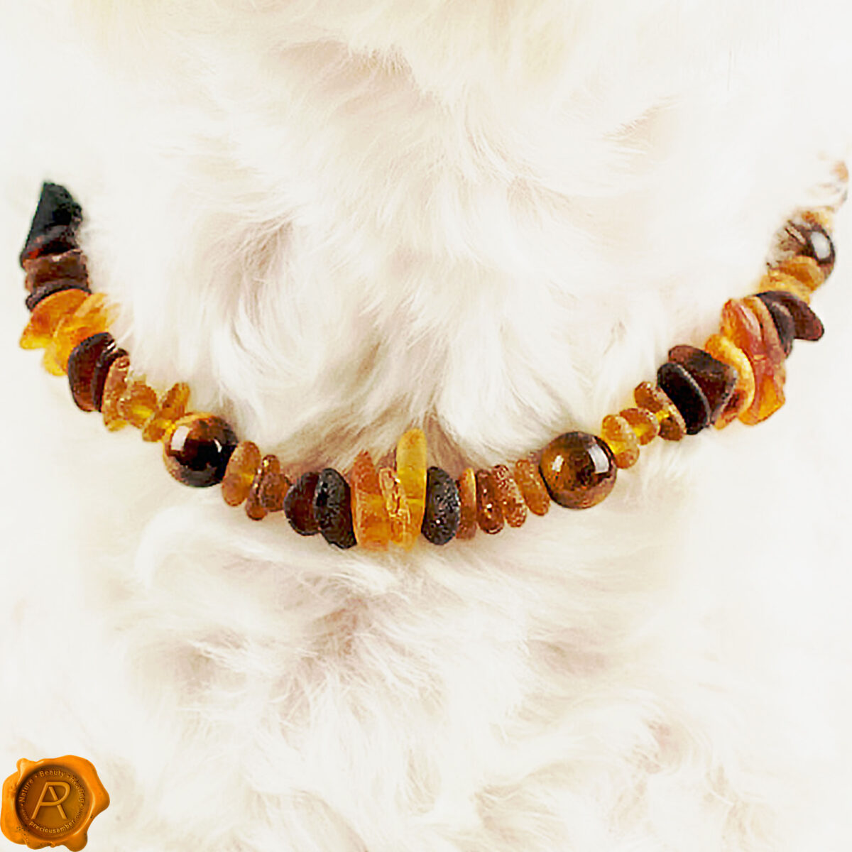 Amber Tiger Eye Pet Collar - Image 2