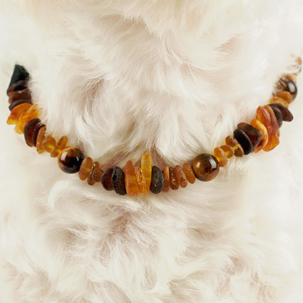 amber tick collar