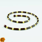 Cherry Butter Amber Unisex Necklace - Image 6