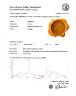 Orange Amber Necklace - Image 4