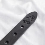 LGBT Amber Rainbow Pet Collar - Image 7