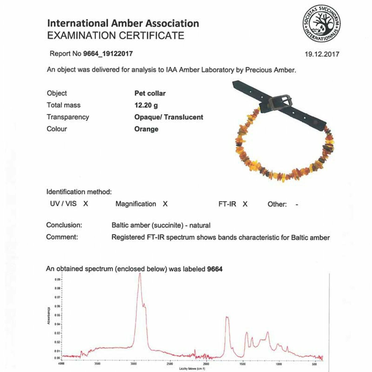 LGBT Amber Rainbow Pet Collar - Image 8