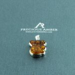 Amber Koala - Image 3