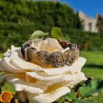Carved Rose Marble Amber Bracelet - Image 6