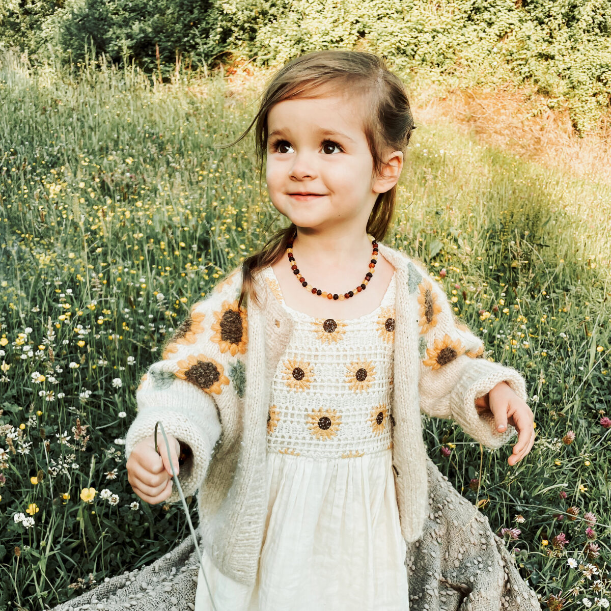 Raw Amber Teething Bracelet - Ombre - Lolly Llama