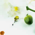Green Dainty Amber Teardrop - Image 4