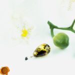 Green Earthy Amber Teardrop - Image 4