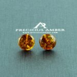 Honey Amber Stud Earrings