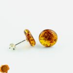 Honey Amber Stud Earrings - Image 2