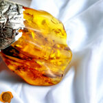 Unique Amber Sea Shell Pendant - Image 5