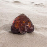Carved Amber Turtle Figurine - Image 4
